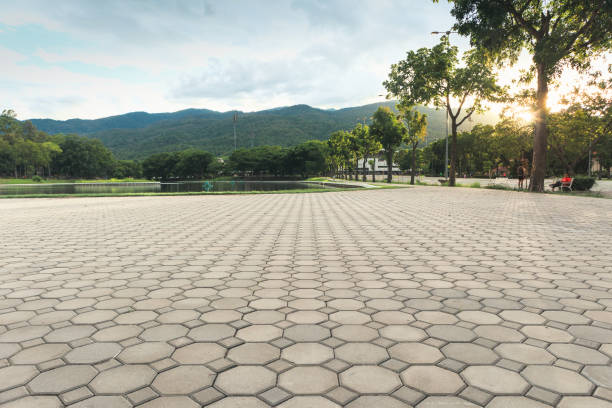 Best Residential Driveway Paver Services  in Franklin Lakes, NJ